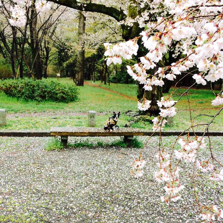 C8e559ee c2c3 4217 9f7a 9f99bd936524