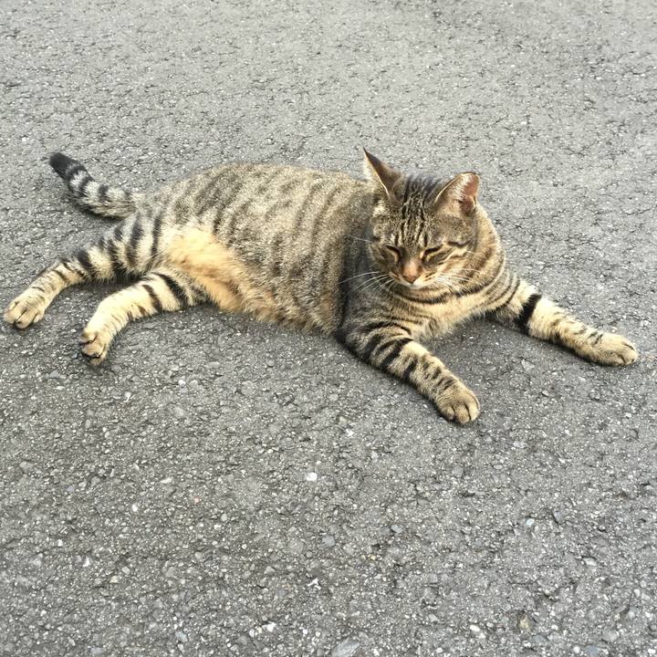 C8e5fa4b 5ea1 48f1 85ec 40aa2836961f