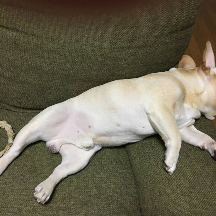 C8e63593 269d 4889 8561 2cf245334265