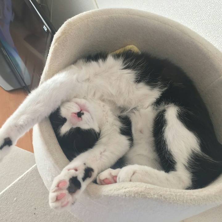 C8e7751f f994 4665 87f4 9da5785bb660