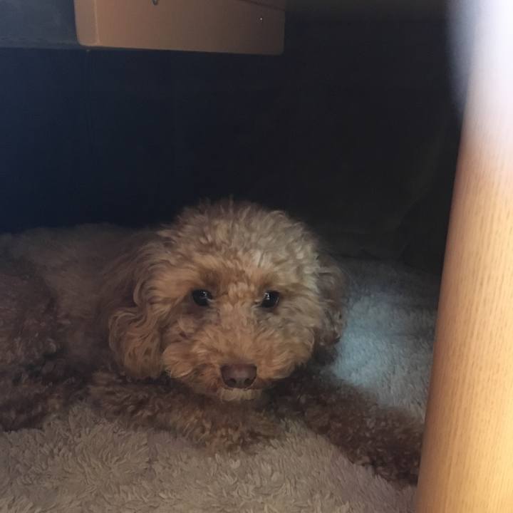 C8e7b4af 2715 491c b3c4 3e8a4680c9db