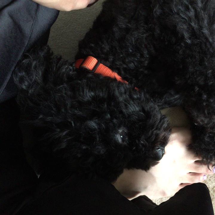 C8e8025c 12cf 4fc7 b30a 60dcb303c7d8