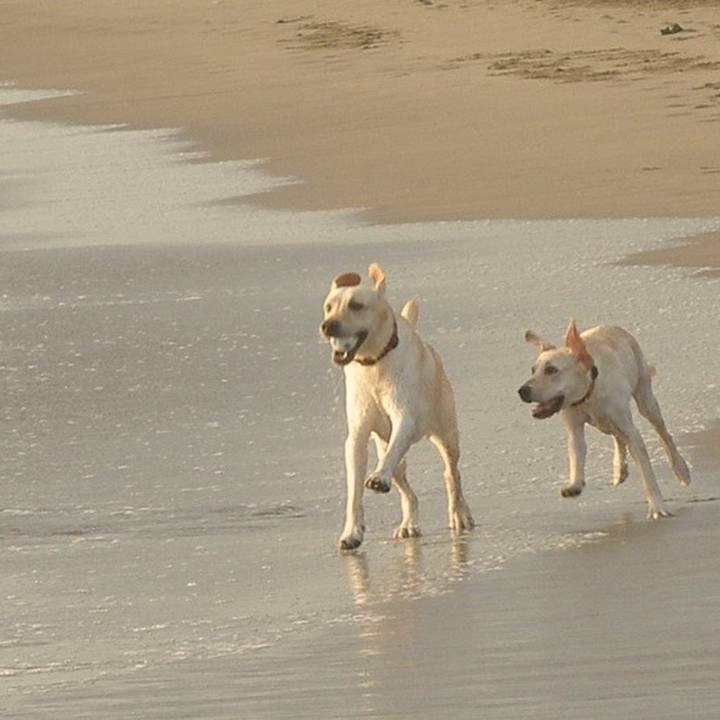 C8e84ae3 0a6c 47cd 86de 88fa9d90c37e