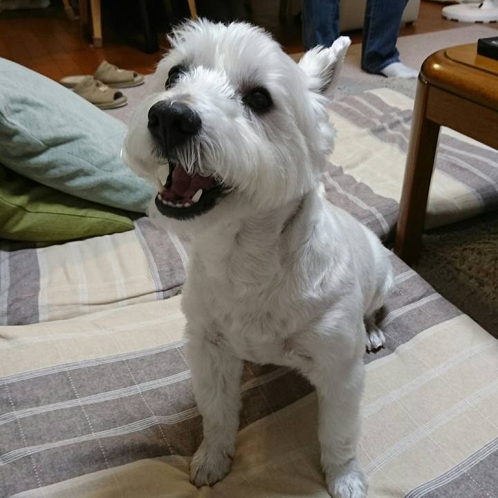 C8e8b500 cf4d 4a4a ba24 7a0e59372c45