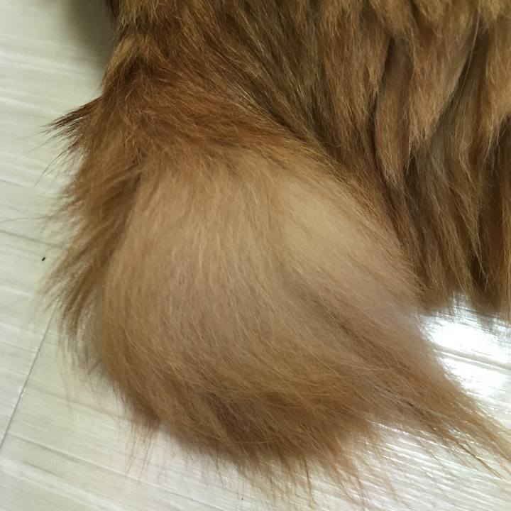 C8e952e1 becc 41c6 8ea4 511008d6f1e9