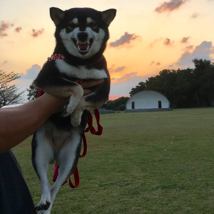 C8e96f0c b89a 4312 81f7 628ad50f2e27