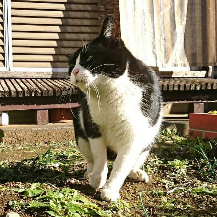 C8e9a386 2cd6 4698 adca 7dcc7123e741