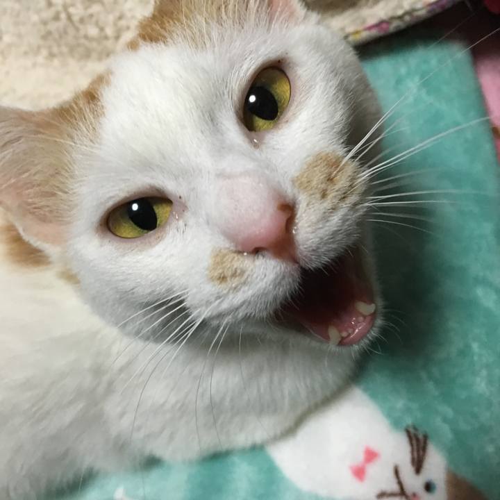 C8e9a6b5 c774 4f42 bb2a e3399eea37a1