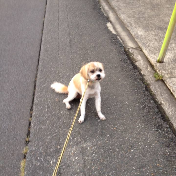 C8e9ab03 d44d 4fb5 8d61 10c0a825f748