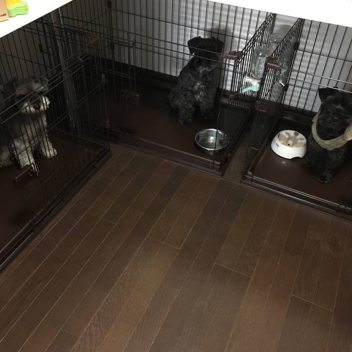 C8e9b716 fb3b 4edb a08e a194c8edbbb9