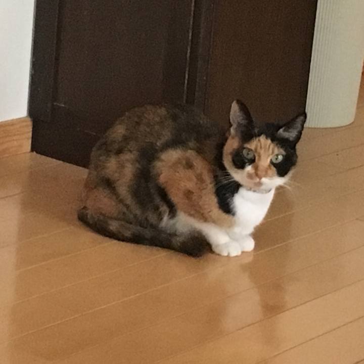 C8e9dcf9 d3ef 464e a743 e19530e45aa2