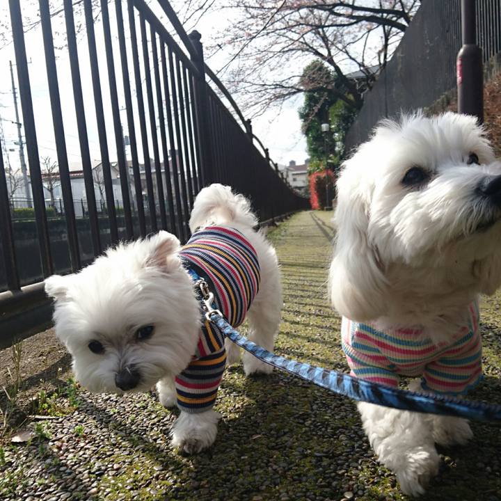 C8ea766d b5b3 4e9e b938 419ef855ebb3