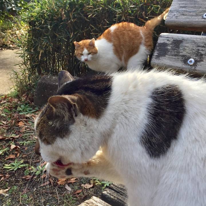 C8eabae3 6524 4cd4 88d4 cf53b86abc36