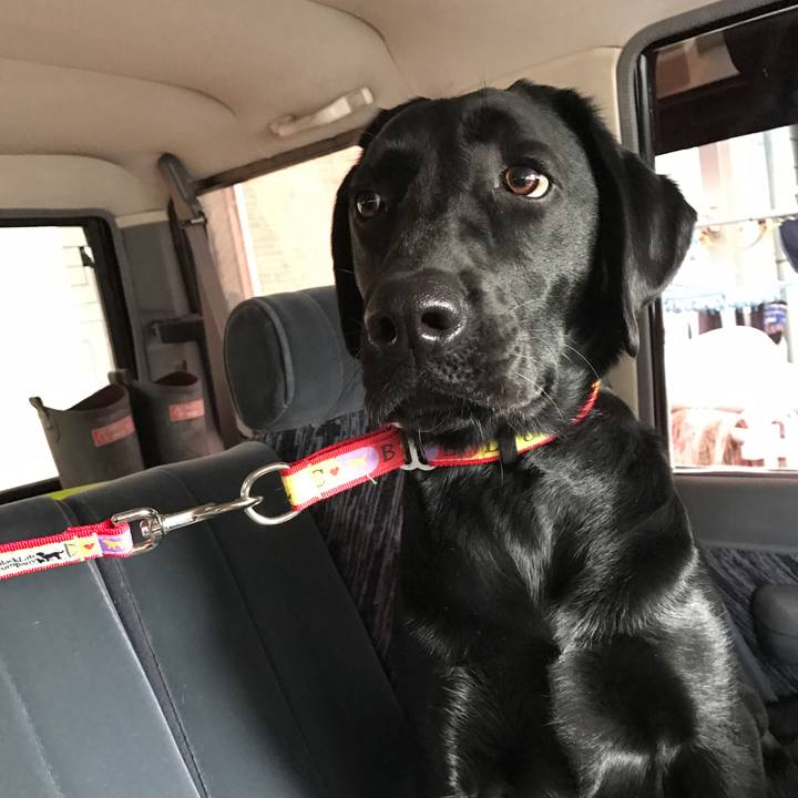 C8eb9deb 170b 43e6 83cc 663aef5cfbbf