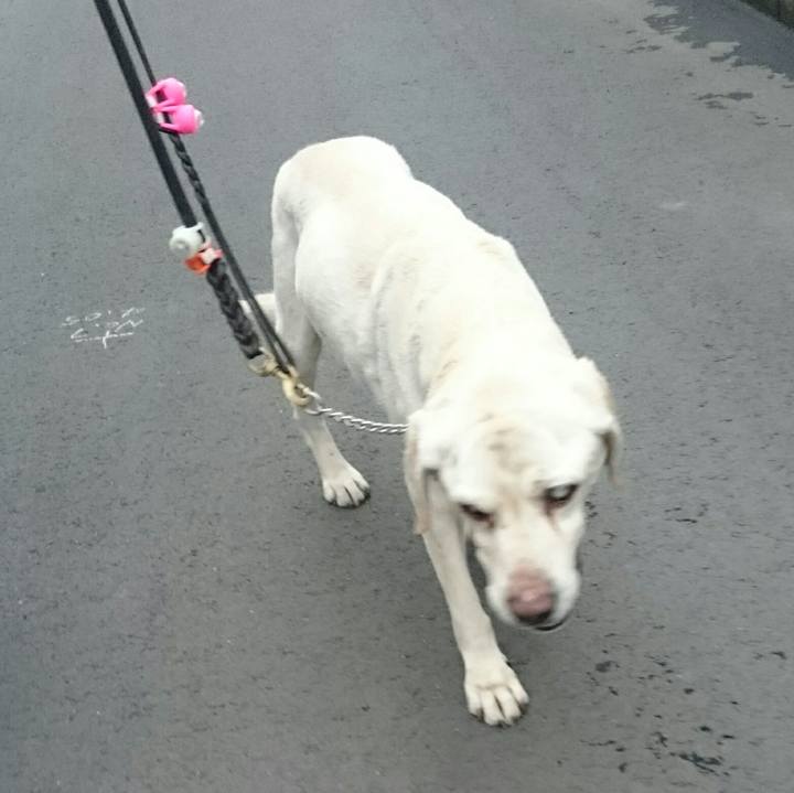 C8ebd033 77ab 49f8 9a93 c4b0ab4b81de