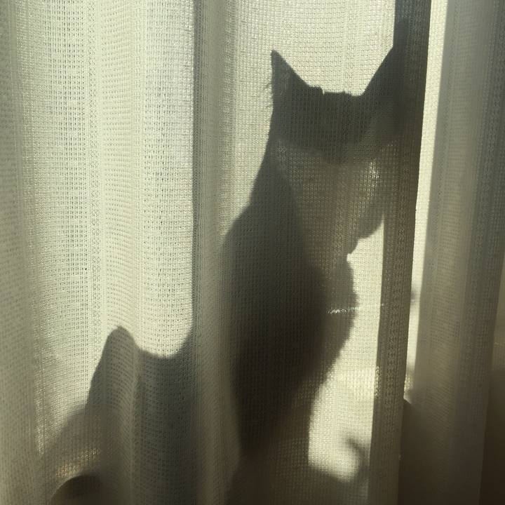 C8ec9708 6926 42a4 9db9 645add8ae311