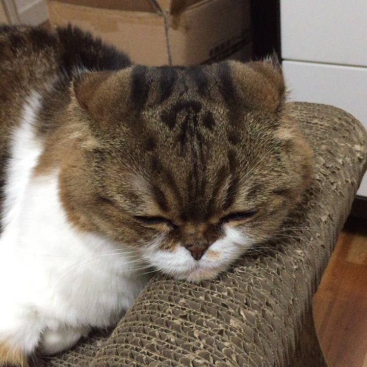 C8ecbfd1 2dc8 4f42 a879 b93e9df4520b