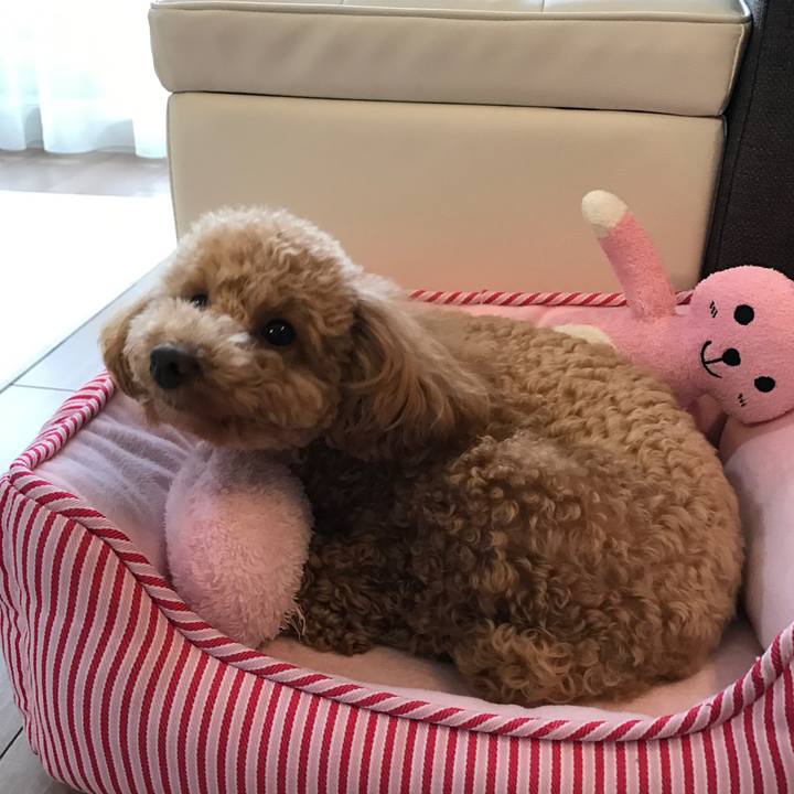 C8ed202e f627 491e b28f 6eb1ff7e079b