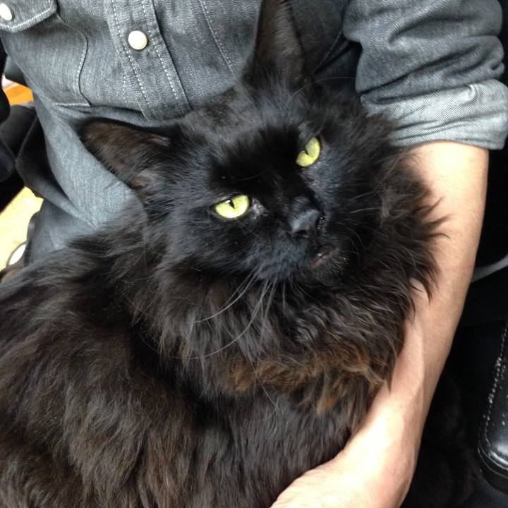 C8ed5180 494f 4042 bcac da5c3a3b452d