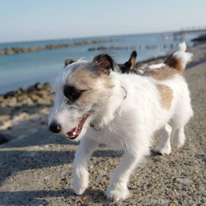 C8ed7655 e54b 43da b4e2 47627a6ae9ff