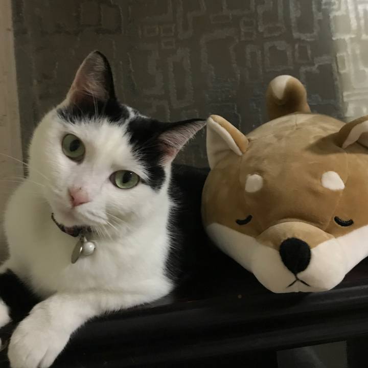 C8ed864b 1aa5 412a aaf1 306518aefd7d