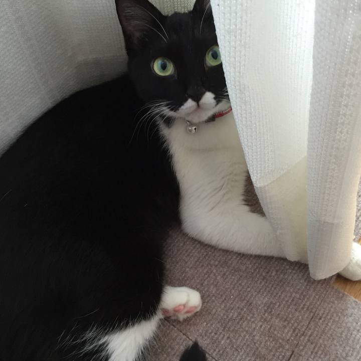 C8edfea7 ae73 405f 922e 5e6aa32b06f6