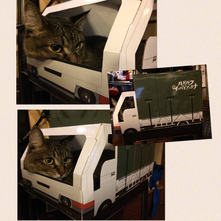 C8eec211 19e6 4341 8118 a706f779f9ec