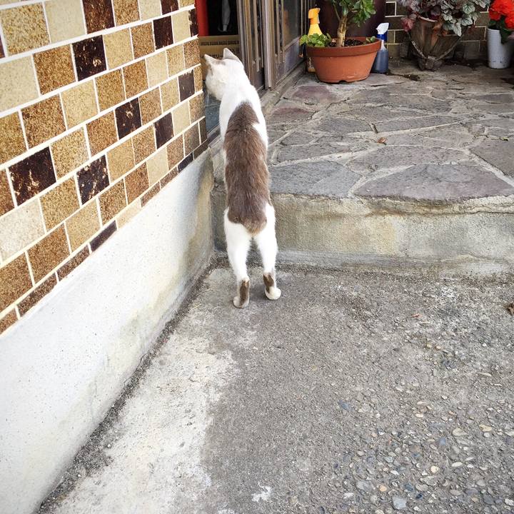 C8eef488 46d4 42fd a9eb f59d04e6ced1