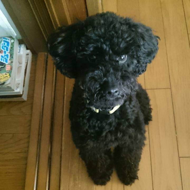 C8ef271b bbbe 4bb3 99c9 f2b2eca1796a