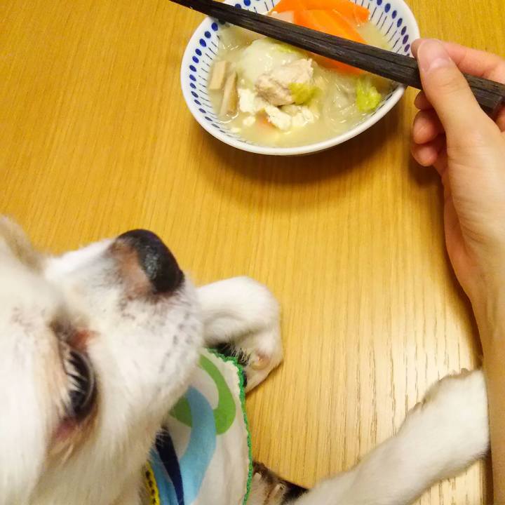 C8f000d2 0b7d 496c 92f7 344b3b3378eb