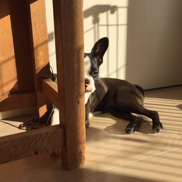 C8f1d026 00b6 4b60 b2f8 803289a37e15