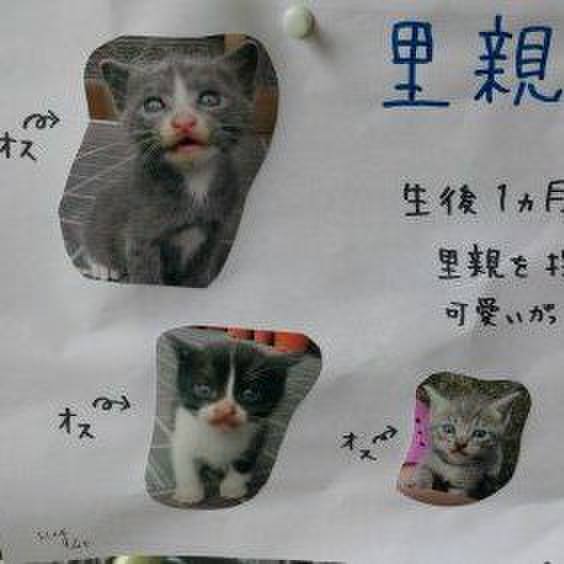 C8f1eac9 89d8 45bc 9630 c21e64bf1be5