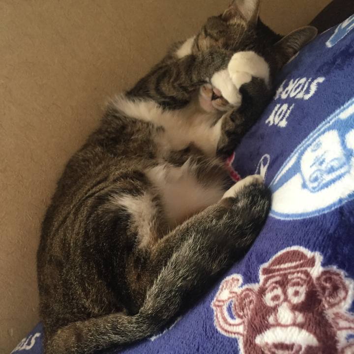 C8f26614 dcab 4959 a44f d30fc640e3d4