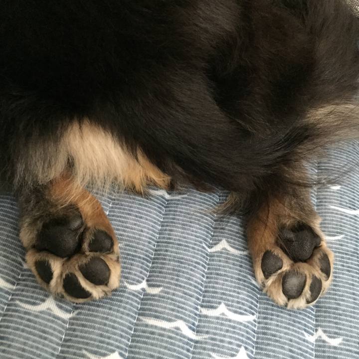 C8f2c436 5dab 436f a8b8 6317bed6f799