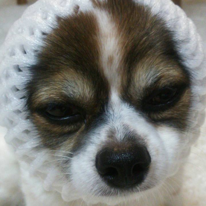 C8f31ab0 c5e2 49d5 8846 73e9cd42176f