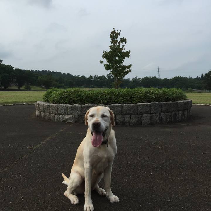 C8f4e01b 11c1 42c1 9e63 b7283a2dfd6a