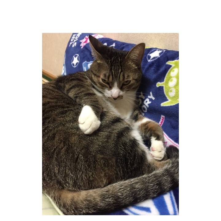 C8f4e935 9e61 42ce 8d1f 8efc6f797f96