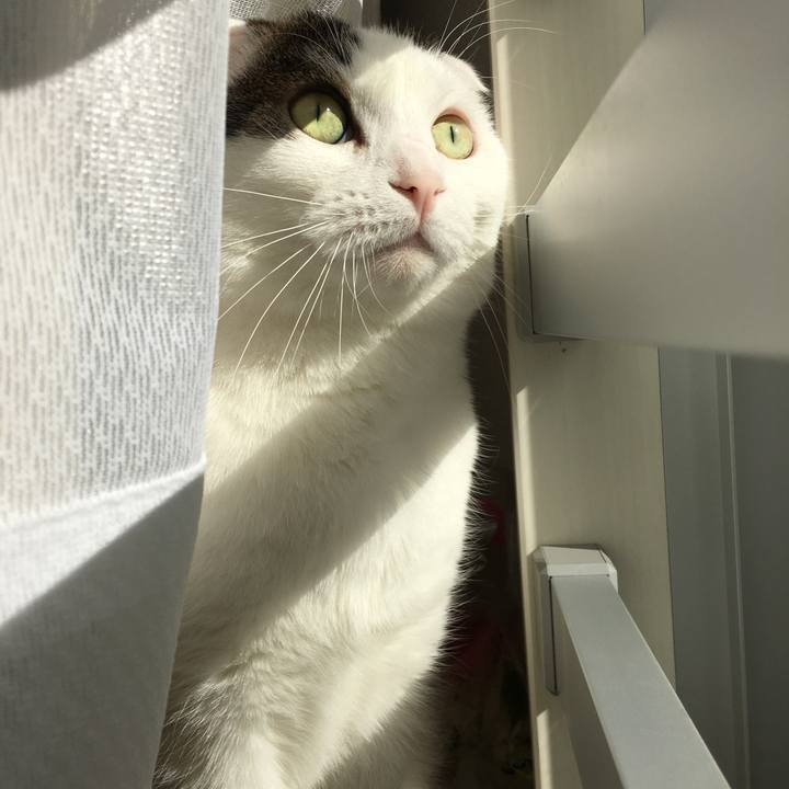 C8f54e53 92bd 422b 83dd 6bc4f42e1fe9