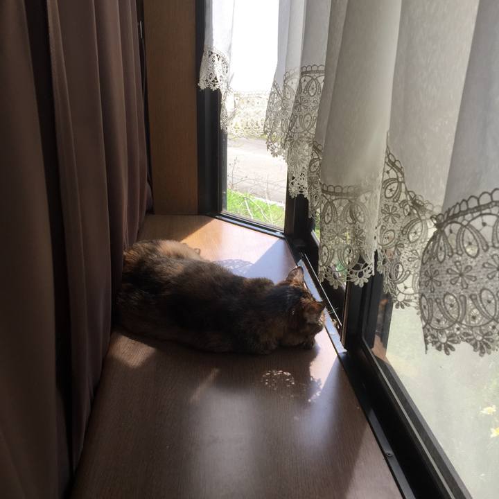 C8f5850d 6c0e 4261 b19f d75846959236