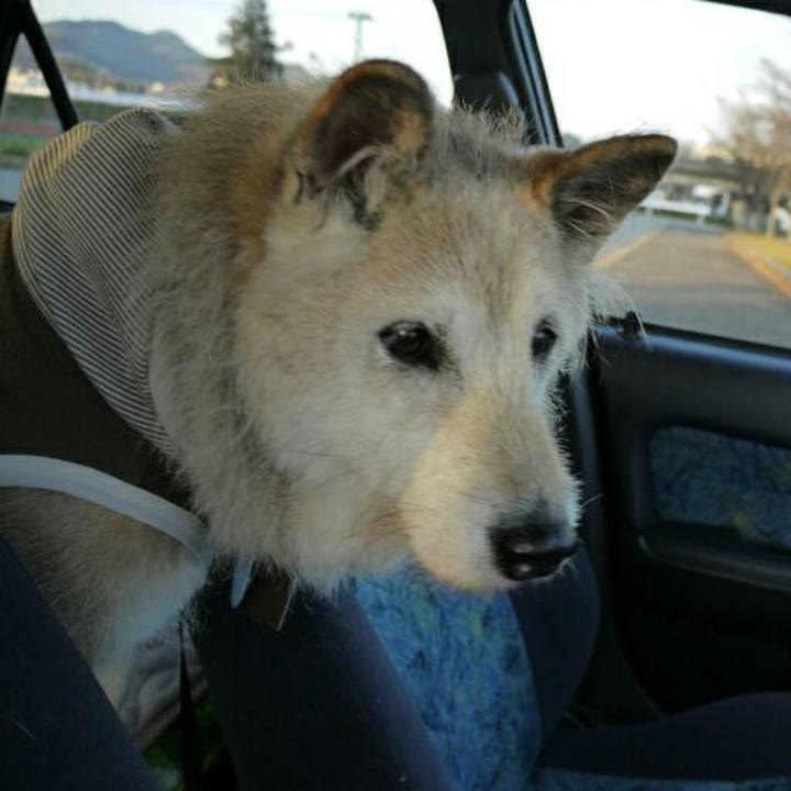 C8f66d33 174c 4505 ae17 59657542520c