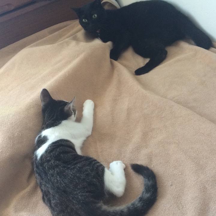 C8f68947 1af1 4254 9aec 16b84806ea6d