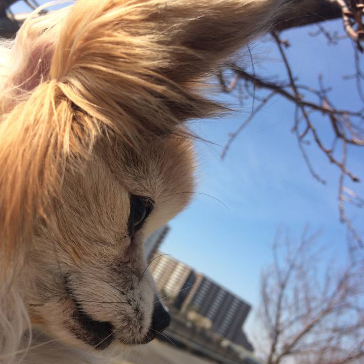 C8f68b19 0e44 4c8e 8b4e c36c7a10ee81