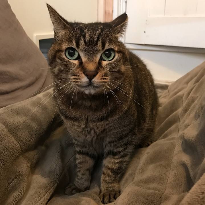 C8f6e7df fcf8 4f53 9277 03a27b7c64dc