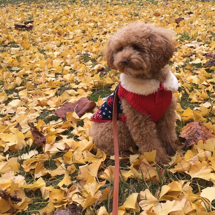 C8f7050e f89f 4d1b 8f88 9cf577e974f8