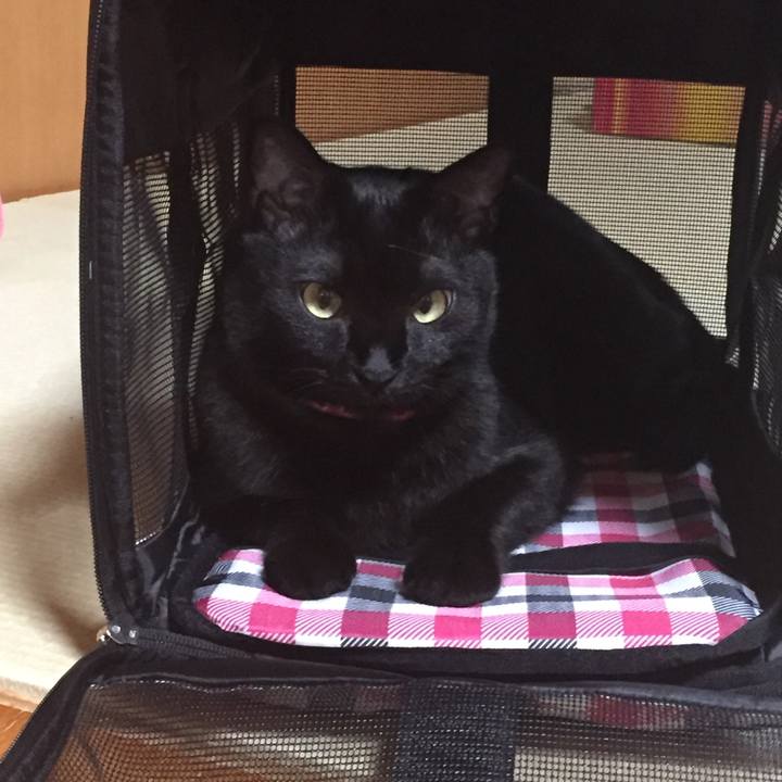 C8f74242 3af4 4bf3 ab42 ba8b6152ca4b