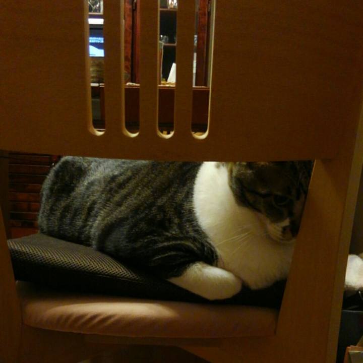 C8f77b17 7d2c 4f62 94fa 0f920ce64b50