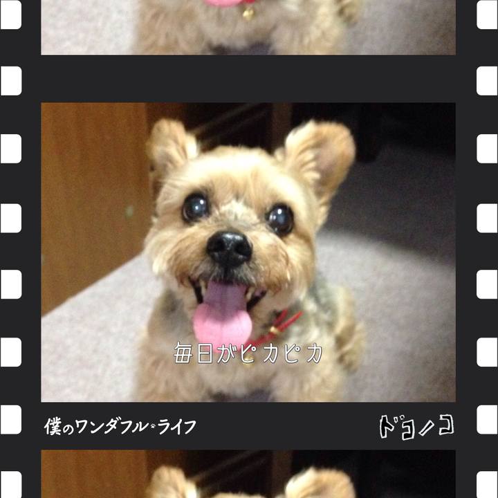 C8f77cec 3308 4640 a1fa 65550843ba50