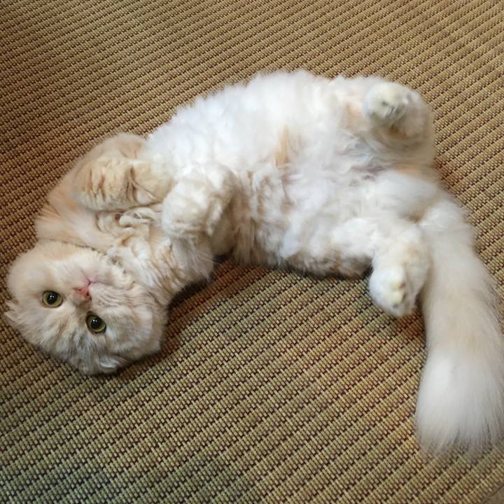 C8f7c598 3477 4fc0 84fa 2bf3a3e79fc1