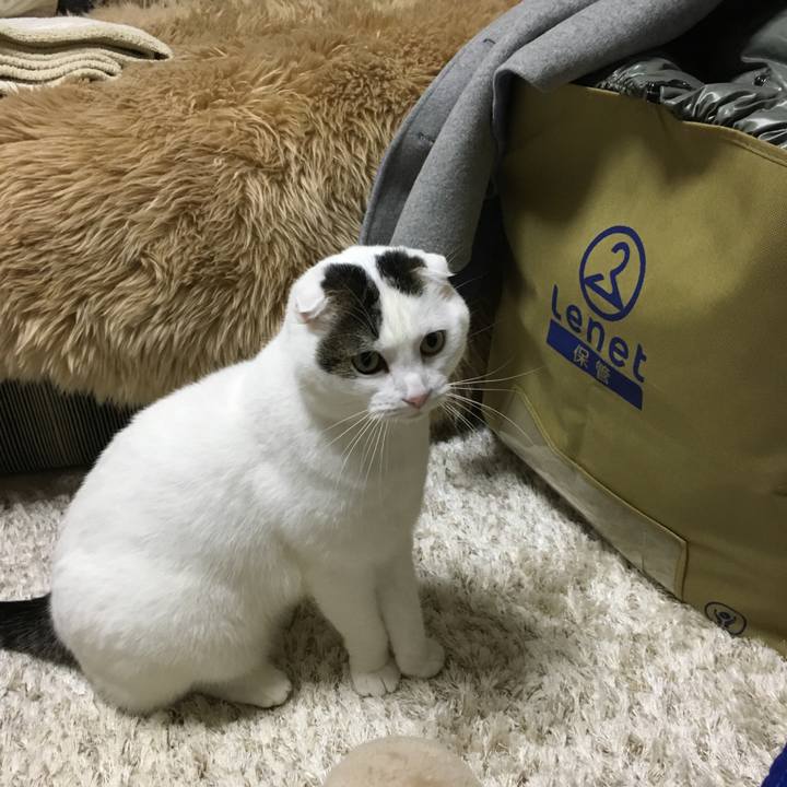 C8f7d4d0 c17d 49dd 8e16 d609b9ada1b7