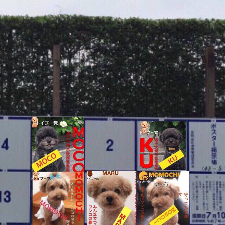 C8f81a37 3c23 46fd 9d48 430f86e65781